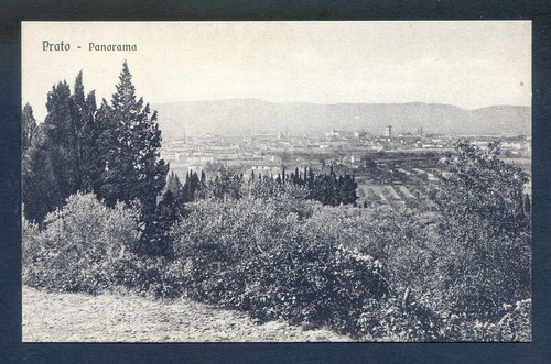 F281 cartolina prato - ,