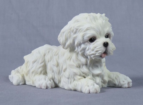 Carino adorabile cucciolo