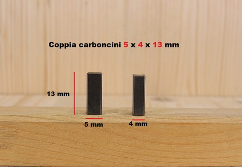 Coppia carboncini spazzole