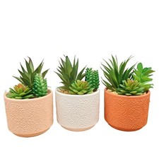 Vaso Decorativo con Pianta
