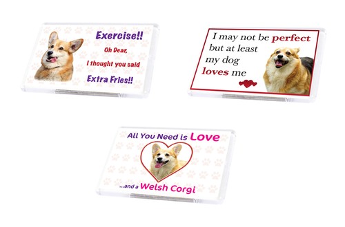 Cute funny dog welsh corgi - funny,