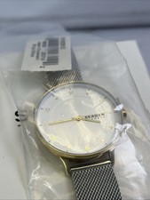 Orologio Uomo Skagen Cupola o