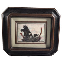 David R. Mueller "Aquila calva