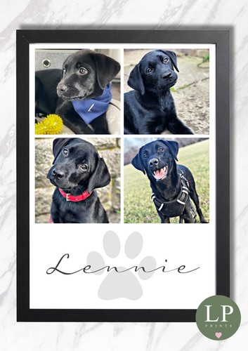 Stampa personalizzata animale