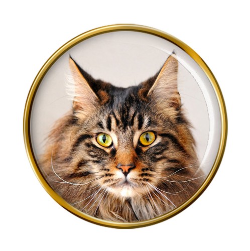 Gatto main coon distintivo - gatto,