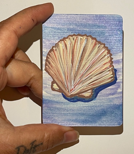 Originale aceo cowrie - originale,
