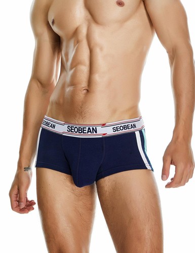 Boxer bimoni seobean - boxer,