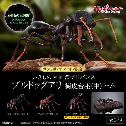 Bandai gashapon online - bandai,