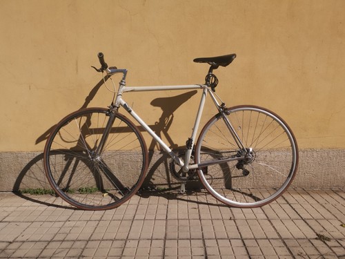 Bicicletta anni zanella - anni,