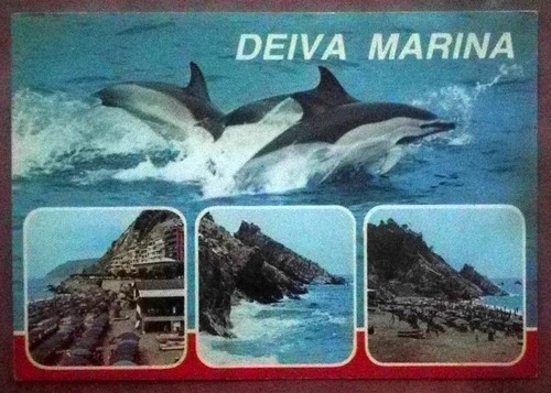 Deiva marina - marina,
