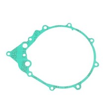 Guarnizione carter alternatore