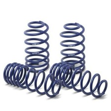 Molle Assetto H&R per SEAT