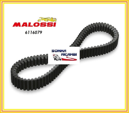 6116079 cinghia malossi - cinghia,
