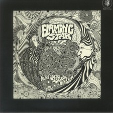 FLAMING STAR - In The Piper's
