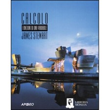 CALCOLO FUNZIONI DI UNA VARIABILKE JAMES STEWART 9788873037477
