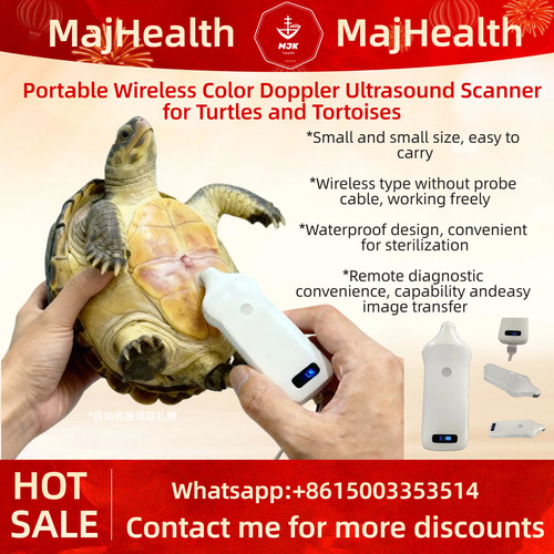 Scanner ultrasuoni doppler - scanner, ad