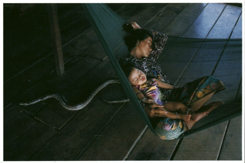 Carte postale tonle sap - postale,