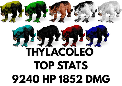 Thylacoleo top stats - top, clone