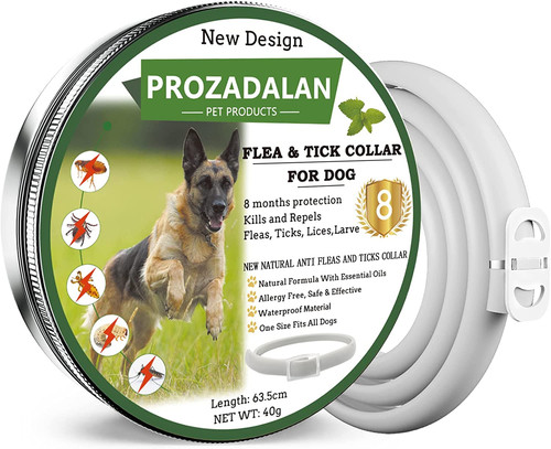 Collare antipulci zecche - collare, e