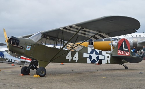 Piper grasshopper cub - piper, l4