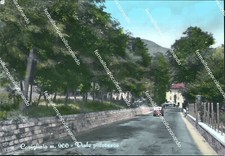 ce350 cartolina covigliaio viale pittoresco provincia di firenze toscana