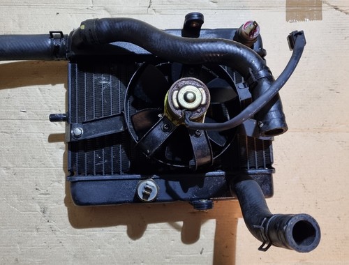 Radiatore ventola bulbo - radiatore,