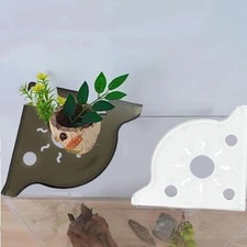 Scaffale serbatoio pesci