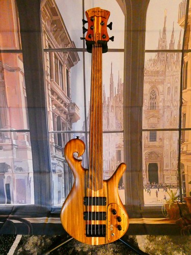 Chyla basses 5 - 5, corde