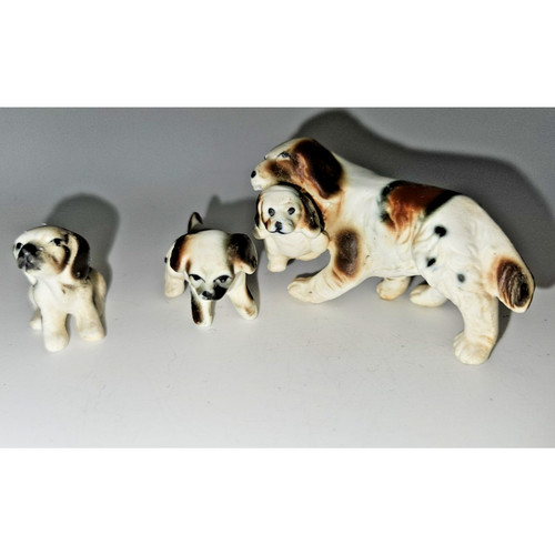 Setter inglese vintage - , 60