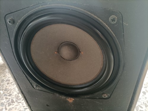 Braun 550 woofer - woofer,