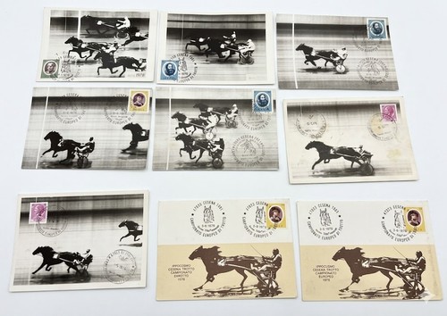 Lotto cartoline ippica - 9,