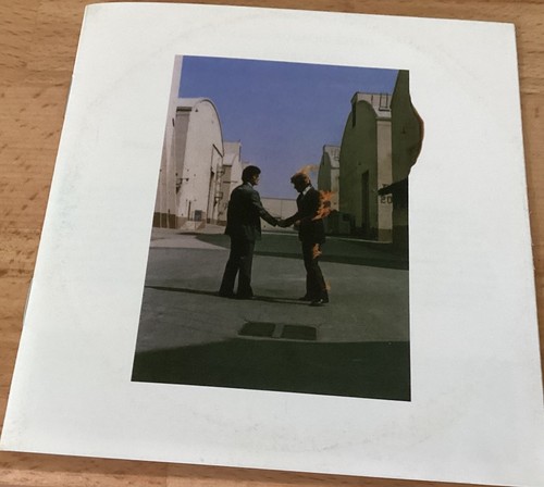 Pink floyd wish you - pink,