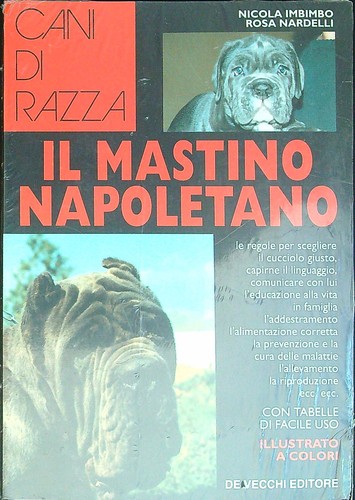 Mastino napoletano imbimbo - il,