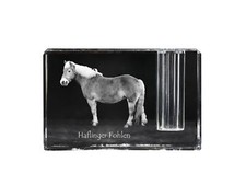 Haflinger puledri - haflinger,