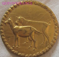 MED04565 - MEDAGLIA SINDACATO