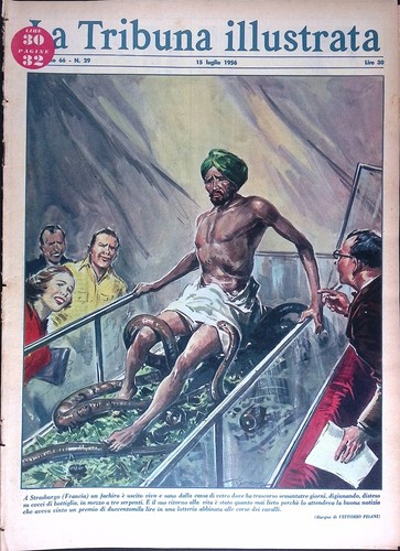 Tribuna illustrata 15 - illustrata,