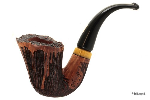 Pipa amorelli penna - *, *