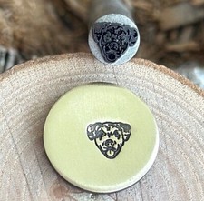 Catahoula Leopardo Cane