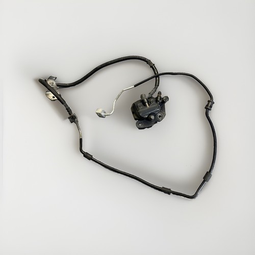 Pinza freno posteriore con - pinza,