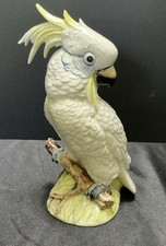Splendido Cacatua Royal Dux in