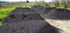 Biochar carb veg di pino