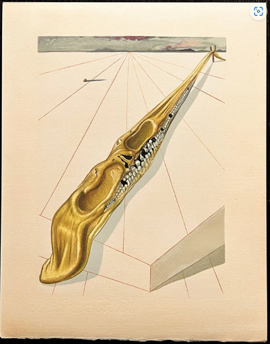 Salvador dalì xilografia - salvador,
