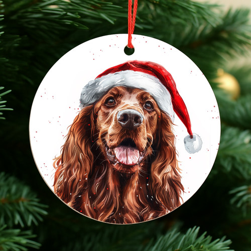 Setter irlandese cane palline - irlandese,