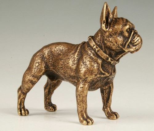 Toro cane francese sia