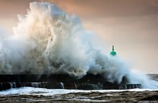 Fotomurale TESSUTO NON