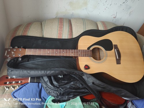 Eko ranger chitarra acustica - 6,