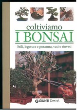 COLTIVIAMO I BONSAI GIUNTI