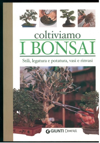 Coltiviamo bonsai giunti - i,