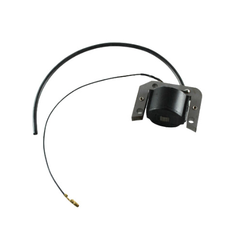 Bobina centralina elettronica - centralina,
