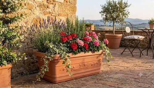 Vaso fiori piante - , cassetta